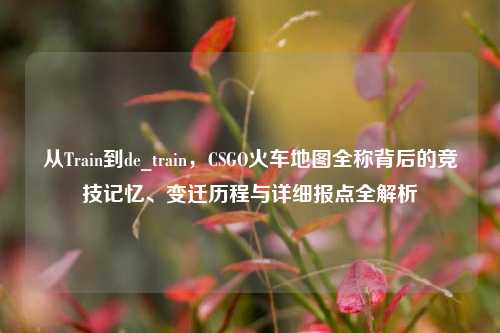 从Train到de_train,CSGO火车地图全称背后的竞技记忆、变迁历程与详细报点全解析