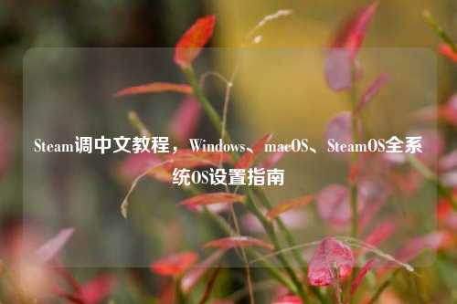 Steam调中文教程，Windows、macOS、SteamOS全系统OS设置指南