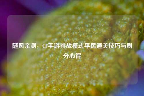 随风亲测,CF手游挑战模式平民通关技巧与刷分心得