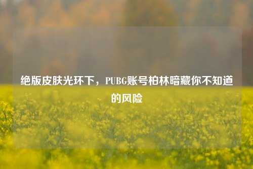 绝版皮肤光环下,PUBG账号柏林暗藏你不知道的风险