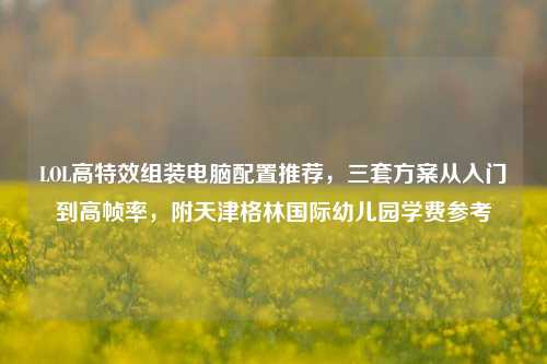 LOL高特效组装电脑配置推荐,三套方案从入门到高帧率,附天津格林国际幼儿园学费参考
