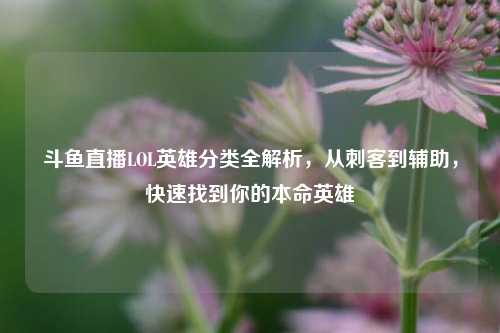 斗鱼直播LOL英雄分类全解析，从刺客到辅助，快速找到你的本命英雄