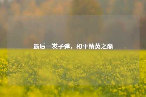 最后一发子弹,和平精英之巅