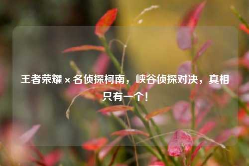 王者荣耀×名侦探柯南,峡谷侦探对决,真相只有一个!