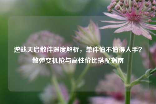 逆战天启散件深度解析，单件值不值得入手？散弹变机枪与高性价比搭配指南