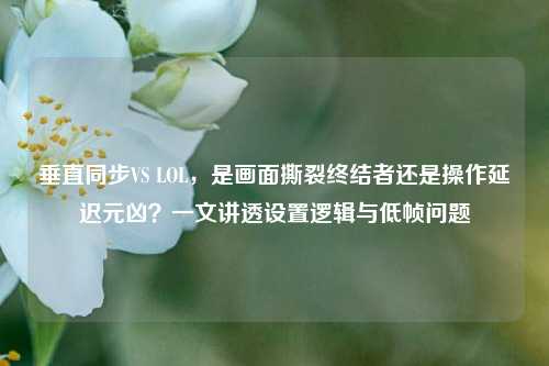 垂直同步VS LOL，是画面撕裂终结者还是操作延迟元凶？一文讲透设置逻辑与低帧问题