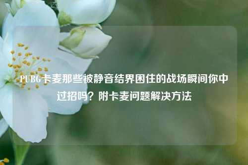 PUBG卡麦那些被静音结界困住的战场瞬间你中过招吗?附卡麦问题解决方法