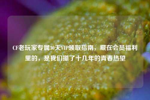 CF老玩家专属30天VIP领取指南,藏在会员福利里的,是我们攥了十几年的青春热望