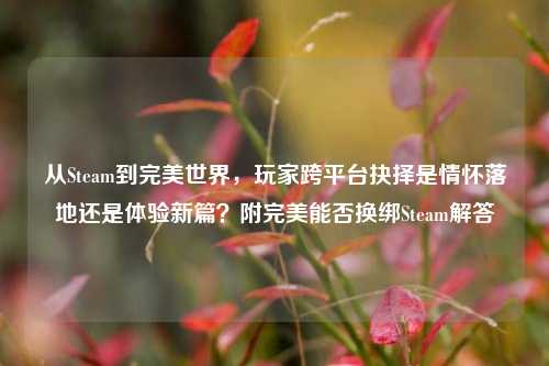 从Steam到完美世界,玩家跨平台抉择是情怀落地还是体验新篇?附完美能否换绑Steam解答