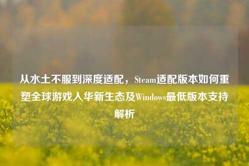从水土不服到深度适配，Steam适配版本如何重塑全球游戏入华新生态及Windows最低版本支持解析