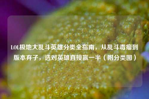LOL极地大乱斗英雄分类全指南,从乱斗毒瘤到版本弃子,选对英雄直接赢一半(附分类图)