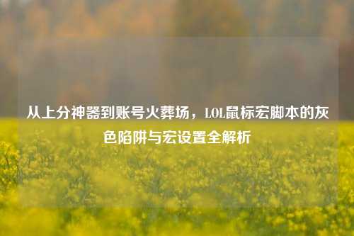 从上分神器到账号火葬场，LOL鼠标宏脚本的灰色陷阱与宏设置全解析
