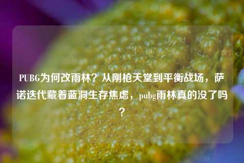 PUBG为何改雨林?从刚枪天堂到平衡战场,萨诺迭代藏着蓝洞生存焦虑,pubg雨林真的没了吗?