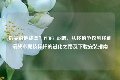 指尖落地成盒?PUBG iOS端,从移植争议到移动端战术竞技标杆的进化之路及下载安装指南