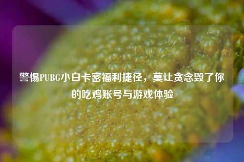 警惕PUBG小白卡密福利捷径,莫让贪念毁了你的吃鸡账号与游戏体验