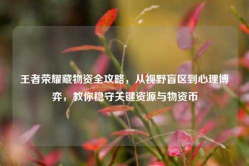 王者荣耀藏物资全攻略，从视野盲区到心理博弈，教你稳守关键资源与物资币