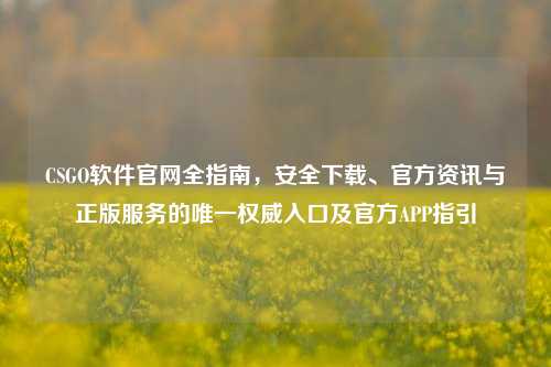 CSGO软件官网全指南，安全下载、官方资讯与正版服务的唯一权威入口及官方APP指引