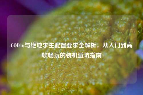 COD16与绝地求生配置要求全解析,从入门到高帧畅玩的装机避坑指南