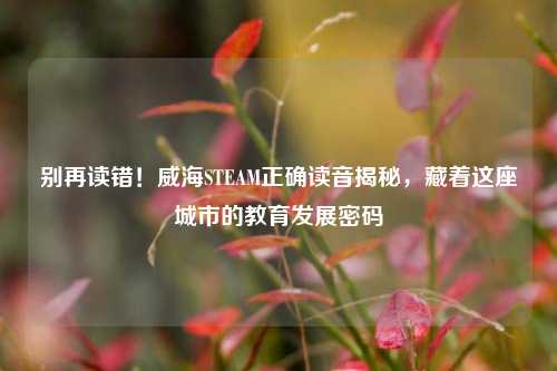 别再读错！威海STEAM正确读音揭秘，藏着这座城市的教育发展密码