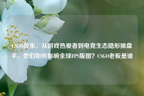 CSGO股东，从游戏热爱者到电竞生态隐形操盘手，他们如何影响全球FPS版图？CSGO老板是谁