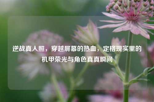 逆战真人照，穿越屏幕的热血，定格现实里的机甲荣光与角色真真瞬间