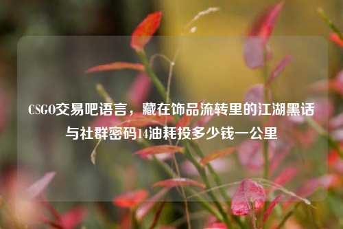 CSGO交易吧语言，藏在饰品流转里的江湖黑话与社群密码14油耗投多少钱一公里