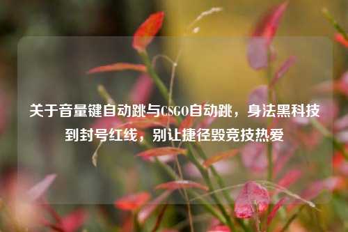 关于音量键自动跳与CSGO自动跳，身法黑科技到封号红线，别让捷径毁竞技热爱