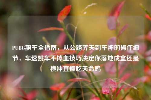 PUBG飙车全指南,从公路莽夫到车神的操作细节,车速跳车不掉血技巧决定你落地成盒还是横冲直撞吃天命鸡