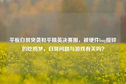 平板白屏突袭和平精英决赛圈,被硬件bug搅碎的吃鸡梦,白屏问题与游戏有关吗?