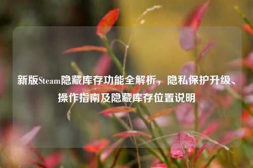 新版Steam隐藏库存功能全解析,隐私保护升级、操作指南及隐藏库存位置说明