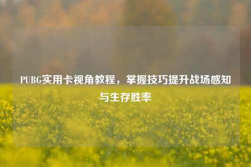 PUBG实用卡视角教程，掌握技巧提升战场感知与生存胜率