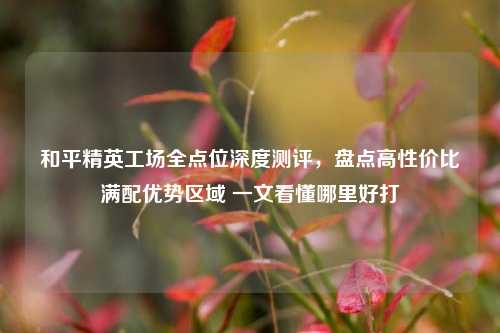 和平精英工场全点位深度测评,盘点高性价比满配优势区域 一文看懂哪里好打