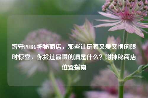 蹲守PUBG神秘商店,那些让玩家又爱又恨的限时惊喜,你捡过最赚的漏是什么?附神秘商店位置指南