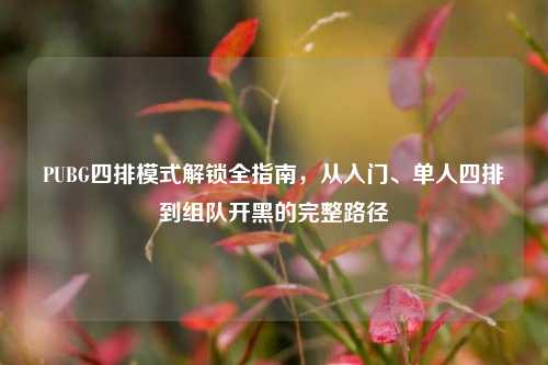 PUBG四排模式解锁全指南,从入门、单人四排到组队开黑的完整路径