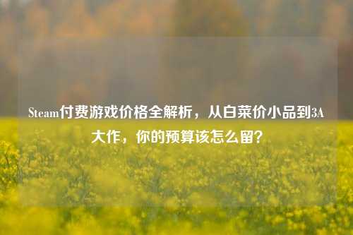 Steam付费游戏价格全解析，从白菜价小品到3A大作，你的预算该怎么留？