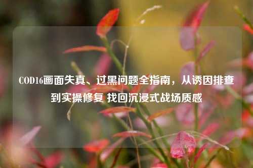 COD16画面失真、过黑问题全指南，从诱因排查到实操修复 找回沉浸式战场质感