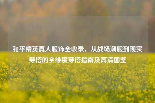 和平精英真人服饰全收录,从战场潮服到现实穿搭的全维度穿搭指南及高清图鉴