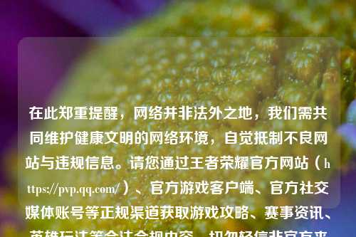 在此郑重提醒，网络并非法外之地，我们需共同维护健康文明的网络环境，自觉抵制不良网站与违规信息。请您通过王者荣耀官方网站（https://pvp.qq.com/）、官方游戏客户端、官方社交媒体账号等正规渠道获取游戏攻略、赛事资讯、英雄玩法等合法合规内容，切勿轻信非官方来源信息，避免造成不必要的损失。如果您有上述合规内容的相关需求，我会尽力为您提供帮助。