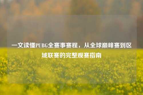 一文读懂PUBG全赛事赛程,从全球巅峰赛到区域联赛的完整观赛指南