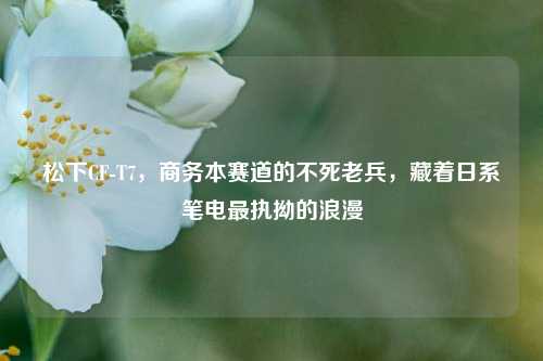 松下CF-T7，商务本赛道的不死老兵，藏着日系笔电最执拗的浪漫