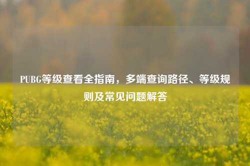 PUBG等级查看全指南,多端查询路径、等级规则及常见问题解答