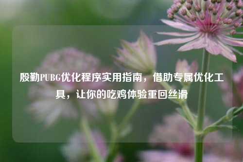 殷勤PUBG优化程序实用指南,借助专属优化工具,让你的吃鸡体验重回丝滑