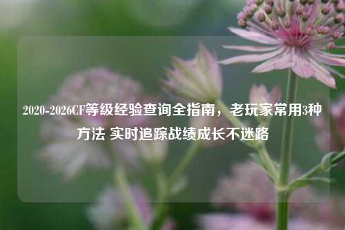 2020-2026CF等级经验查询全指南,老玩家常用3种方法 实时追踪战绩成长不迷路