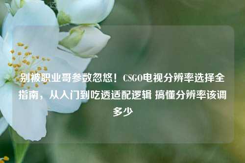 别被职业哥参数忽悠!CSGO电视分辨率选择全指南,从入门到吃透适配逻辑 搞懂分辨率该调多少