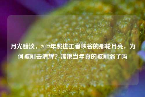 月光黯淡,2022年照进王者峡谷的那轮月亮,为何被削去清辉?嫦娥当年真的被削弱了吗