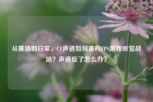 从赛场到日常,CF声道如何重构FPS游戏听觉战场?声道反了怎么办?