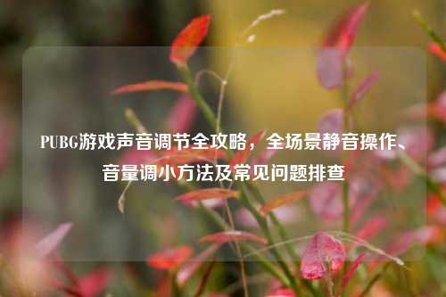 PUBG游戏声音调节全攻略,全场景静音操作、音量调小方法及常见问题排查