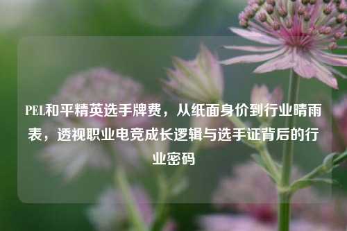 PEL和平精英选手牌费，从纸面身价到行业晴雨表，透视职业电竞成长逻辑与选手证背后的行业密码