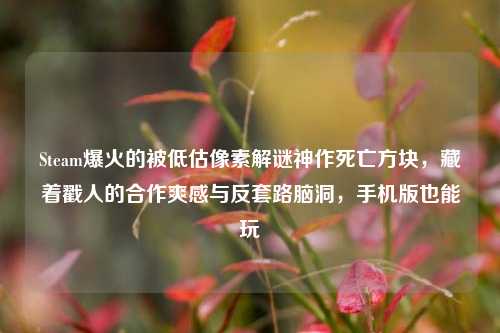 Steam爆火的被低估像素解谜神作死亡方块,藏着戳人的合作爽感与反套路脑洞,手机版也能玩