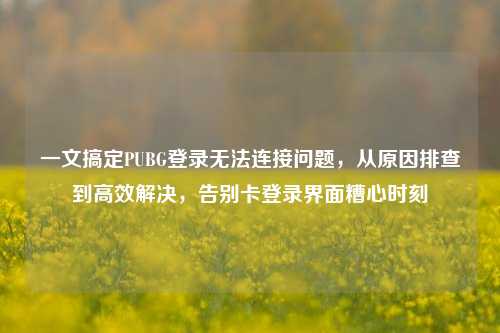 一文搞定PUBG登录无法连接问题,从原因排查到高效解决,告别卡登录界面糟心时刻